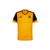Домашняя майка Вулверхэмптон Уондерерс с коротким рукавом и v-образным вырезом 20/21 сезона, мужская спортивная майка, черный, желтый FJ4503