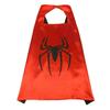 Kids Halloween Light-Up Spider Hero Mask Cape Toy