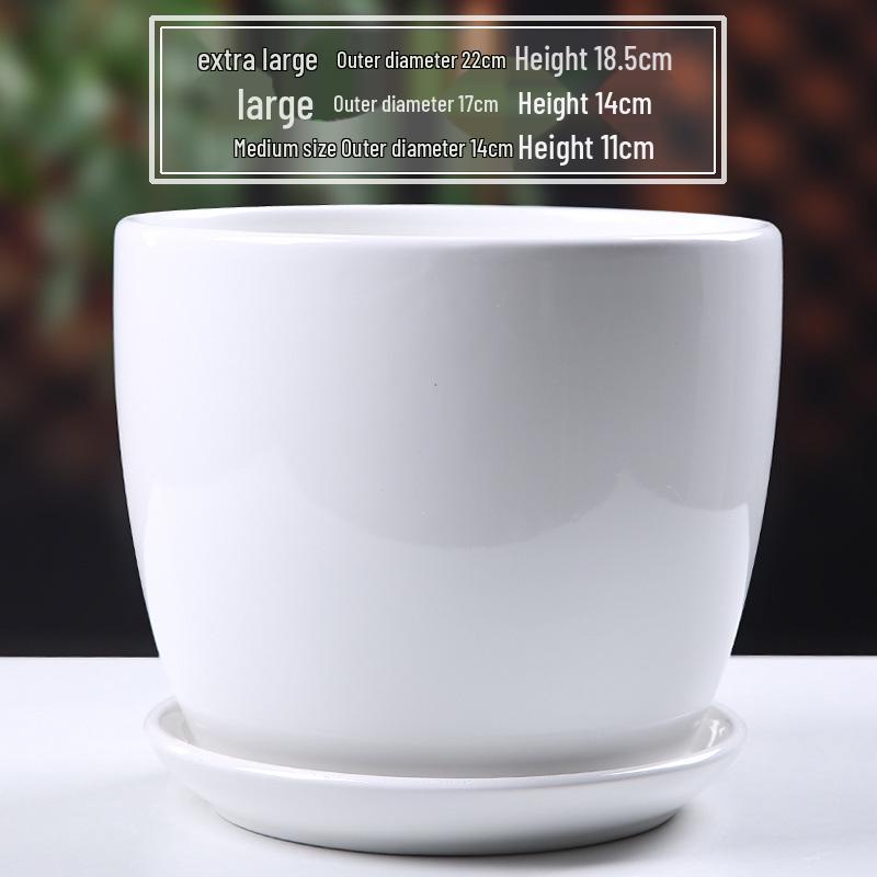 Simple White Ceramic Flower Pot with Base for Indoor Plants - Available in Large and Extra Large