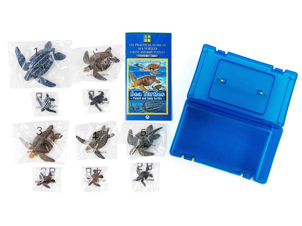 COLORATA Морская черепаха, родитель и детеныш, фигурка, 3D книжка-картинка, 5 видов, 10 штук, инструкция, реалистичная фигурка, коробочная игрушка, развивающая игрушка, подарок