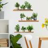 Painted Potted Plant with Shelf Self Adhesive Wall Sticker for Bedroom Living Room Home Background Decor