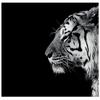 Nicolas Evariste Panthera Tigris Print