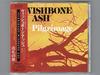 CD WISHBONE ASH - Pilgrimage MVCM36 MCA 1991 Japan ObiRock Used
