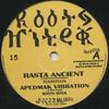 10inch Record TENA STELIN / REALITY SOULJAHS - Rasta Ancient; Apedmak Vibration /  RH1015 Roots Hitek 2011 UK Reggae, Ska & Dub