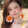 Silver Needle Flower Earrings Zinc Zinc Alloy Lafite Grass Earrings Simulated Flower Drop Earrings  Wedding