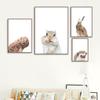 Nordic Squirrel Owl Giraffe Art Wall Poster Hedgehog Rabbit Hamster Mural Children's Room Home Decoration Cuadros Decorativos