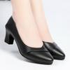 Spring and Autumn Women's Shoes Soft Sole Mid-heel Leather Shoes Women's Work Shoes Comfortable and Non-slip