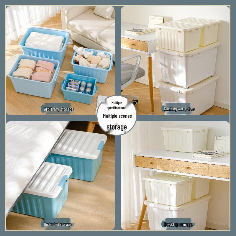 SPACEXPERT Clear Storage Bins