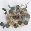 Leaves Artificial Eucalyptus Robusta Smith For Wedding Party Decor