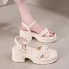 Platform sandals women's 2025 new summer with skirt fairy sandals French beautiful sandals outer wear generation