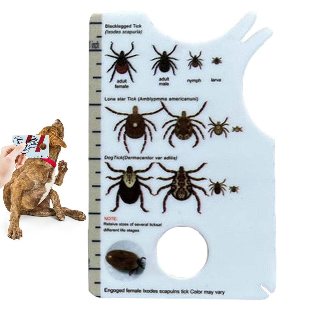 Tick Card Human, Tick Card For Human, Allows Easy Tick Removal, Tick Remover For Dogs And Cats In Handy Pocket Size, 8.5 X 5.4 X 0.1 Cm