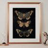 Винтажные постеры в стиле дарк-академия с изображением мотыльков, викторианская готика, иллюстрация насекомых, холст, настенные принты, картина для комнаты, домашний декор