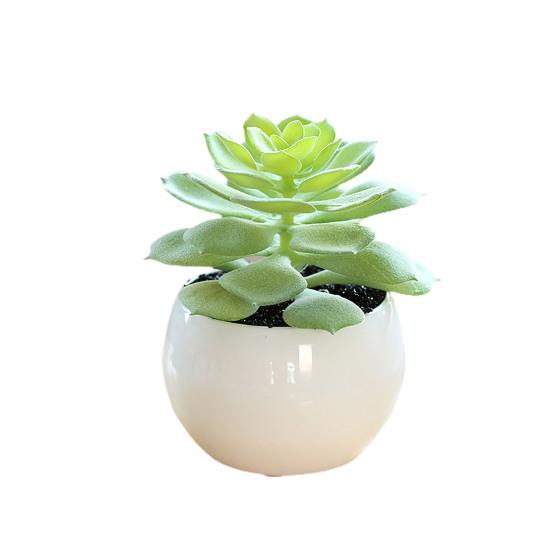 Отличный искусственный суккулент, не требующий полива, яркий декоративный