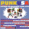 CD VARIOUS - Punk USA  77CD Lookout! Record 1994 US Rock Used