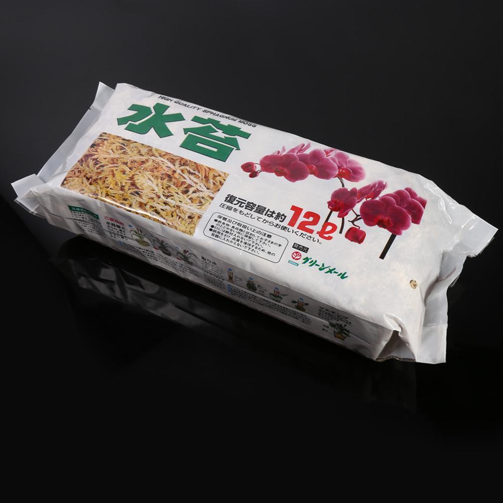 Garden Supplies Sphagnum Moss Moisturizing Nutrition Organic Fertilizer For Phalaenopsis Orchid