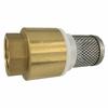 1 1/4 Inch Brass Foot Valve with Stainless Steel Suction Strainer
