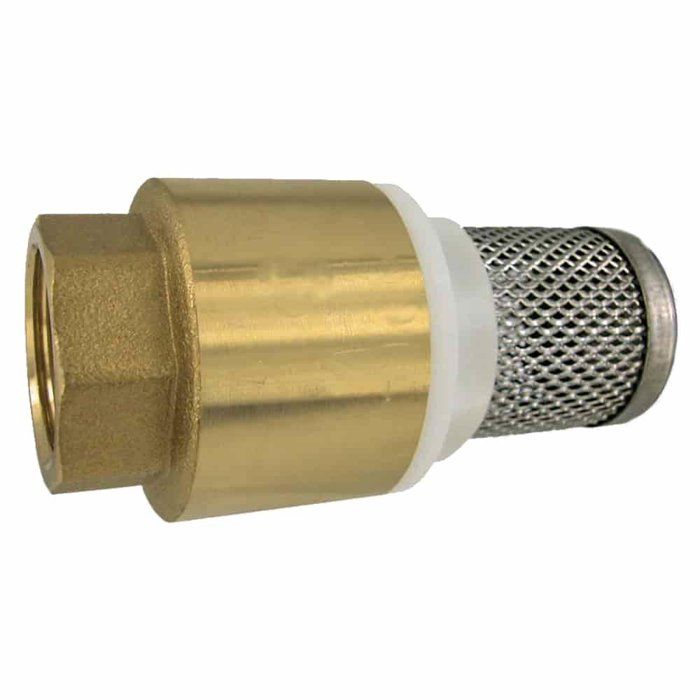 3/4 Inch Brass Foot Valve with Stainless Steel Suction Strainer