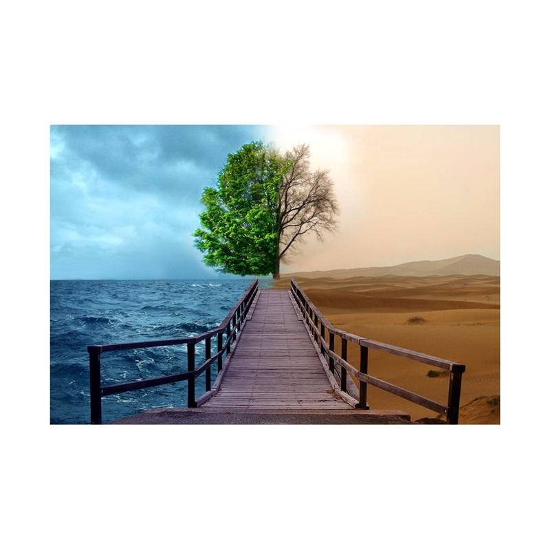 Фон для фотосъемки серии «Пустыня» с природными пейзажами, фон для фотосъемки, студийные принадлежности, реквизит, домашний декор