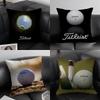 TTitleist Brand Cushion Cover Pillowcase Ultra Soft Skin Friendly Fabric Cloud Like Comfort Concealed Zipper