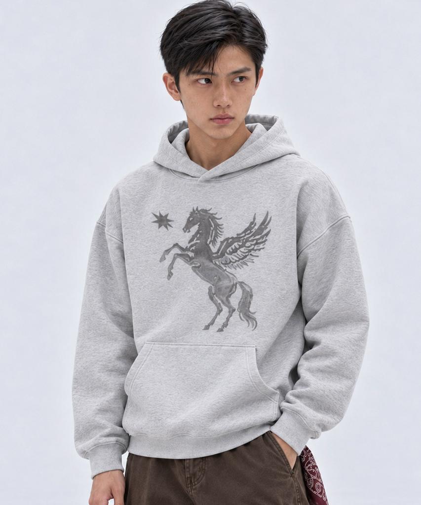 HIRUKA ARCHIVE Pegasus Shadow Hoodie