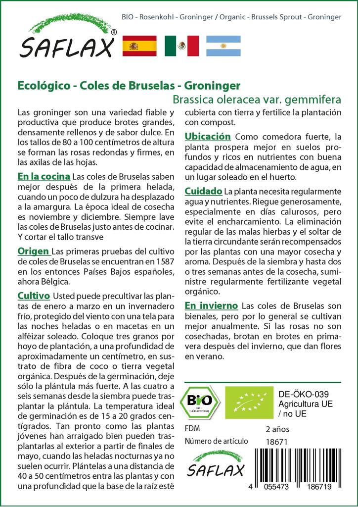 SAFLAX Garden in the Bag - Органический - Брюссельская капуста - Гронингера - 30 семян - С субстратом в подходящем стоячем пакете - Brassica oleracea