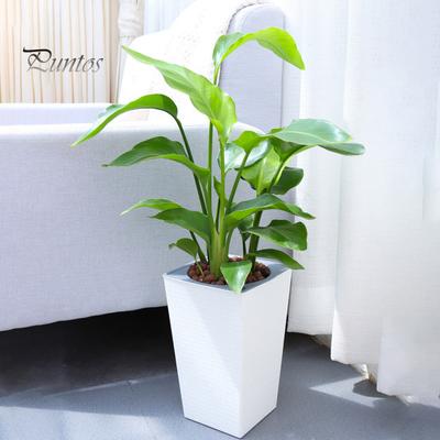 Самополивающийся цветочный горшок с дренажными отверстиями, автоматический полив, цветочный горшок, кашпо для хранения воды для комнатных и уличных растений