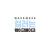 WAKEMAKE Defining Cover Палетка-консилер - 2 типа