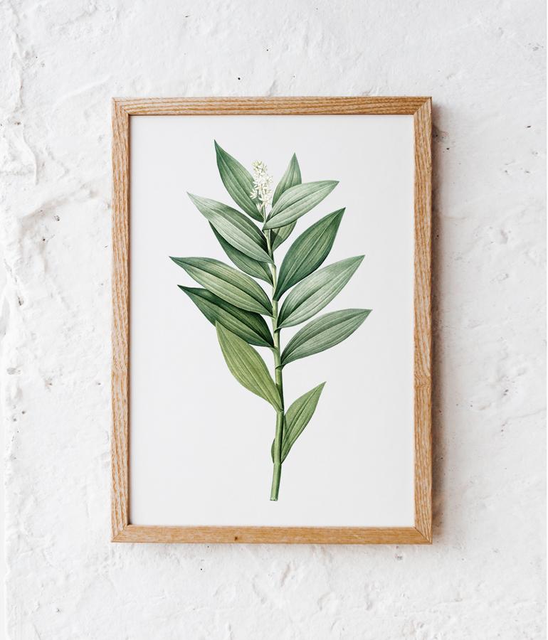 Plakat zielona gałązka