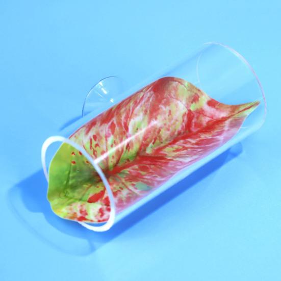 5 шт. подложка для листьев рыбки Betta с присоской, пластиковые растения, гамак для отдыха, аксессуары для аквариума, декор для естественной среды обитания, нереста, разведения