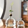 1pcs Sprouting Seed Starter, Planter Vase Glass Container, Planter Acorn Tree Grow Kit Decorative, Glass Bulb Spreader Vase, Unusual Gardening Gift