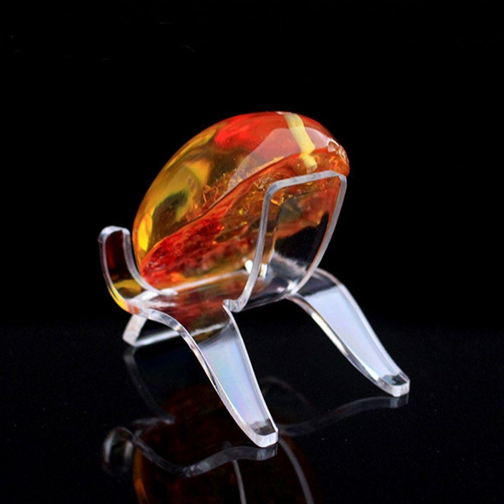 Fossils Minerals Rocks Display Rack Acrylic Shown Holder New Photography Props