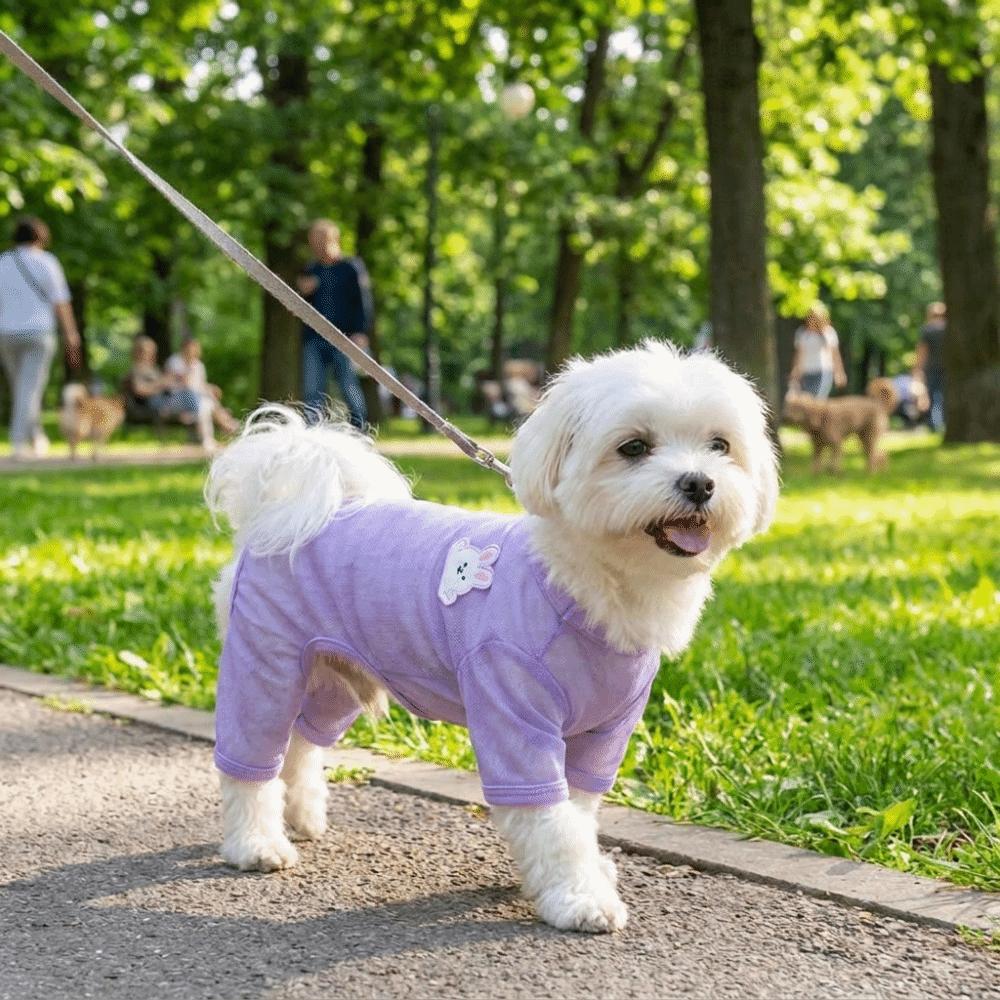 Breathable Pet Summer Clothes Sun-proof Dog Cooling Jumpsuit Dog Sunscreen Clothes Summer Season