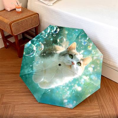 Аксессуары – Зонты