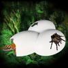 Vivid Reptile AndInsects Hiding Cave Animal Pet Shelter EggsShell Simulation Shape Rock Cave Decoration For Turtle Lizard Snake