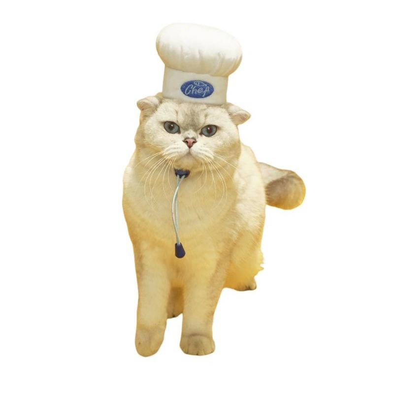 Шапка шеф-повара для домашних животных, кепка шеф-повара для приготовления домашних животных с регулируемой пряжкой, нелегко выцветающая маленькая собака Хэллоуин