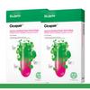 Dr.Jart+ Cicapair Intensive Soothing Repair Serum Mask 25g × 10 Sheets (5 Sheets × 2 Packs)