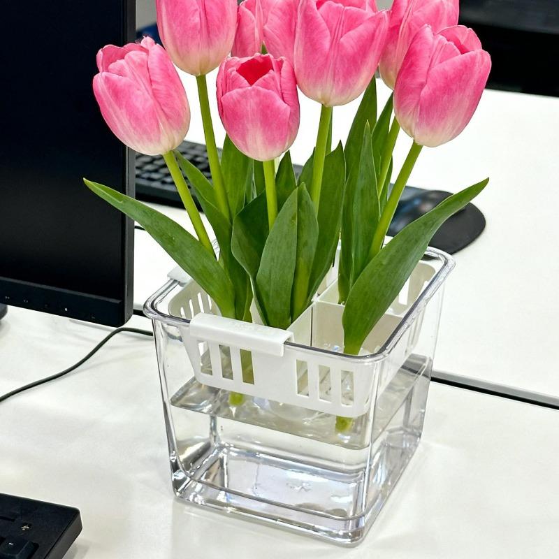 Hydroponic Containers with Breathable Support Basket Tulip Seed Hydroponic Flowerpot 4 Holes Soilless Flower Pot Home Decoration