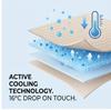 Machine Washable Ice Silk Cooling Mattress Set with 2 Pillowcases, Breathable Summer Bed Sheet for Home Dorm, Soft Fitted Sheet