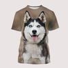 Funny Dogs Husky Malamute 3D Print T-Shirts Streetwear Men Women Casual Fashion O-Neck Oversized T Shirt Kids Tees Tops Clothing