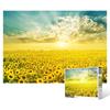 Пазл Фантастический рассвет в поле подсолнухов 4, 1000 деталей, разные цвета Пазл, Детские игры, Развивающие игрушки
