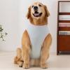 Large Dog Big Dog Summer Cool Ice Silk Vest Breathable Thin Two-legged Sleeveless Pet Dog Clothes