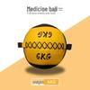 Brangdy Medicine Wall Ball
