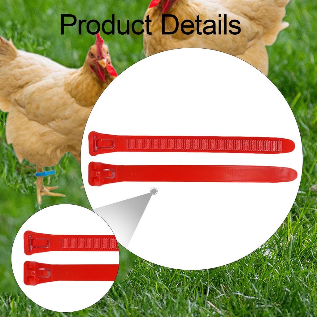 100 Pieces Chicken Leg Bands Poultry Identification Tags Rings for Bantam