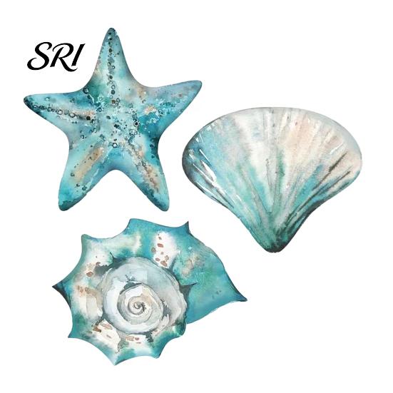Wooden Wall Art 3 Pcs Rustic Beach Ocean Coastal Nautical Seashell Starfish Couch Decor for Living Room Bedroom Lake House