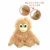 Sanrio Baby Coco Plush Toy SS