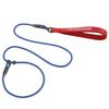 Anti Lock And Wear-resistant Training Explosion Proof P Traction Rope Dog Walking Leash Dog Accessories For Small Dogs