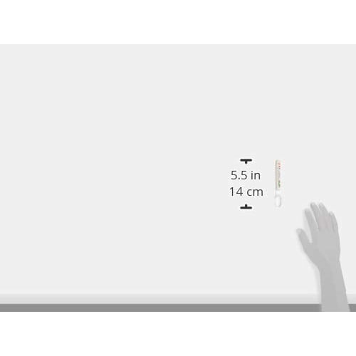 Skater Children's Spoon The Very Hungry Caterpillar Made in Japan S9