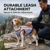 Color-Block Breathable Summer Cooling Vest Lightweight for Medium & Large Dogs Outdoor Daily Walks Hiking