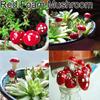 5Pcs Miniature Ornament Fairy Plant Garden Dollhouse Moss Landscape DIY Decor
