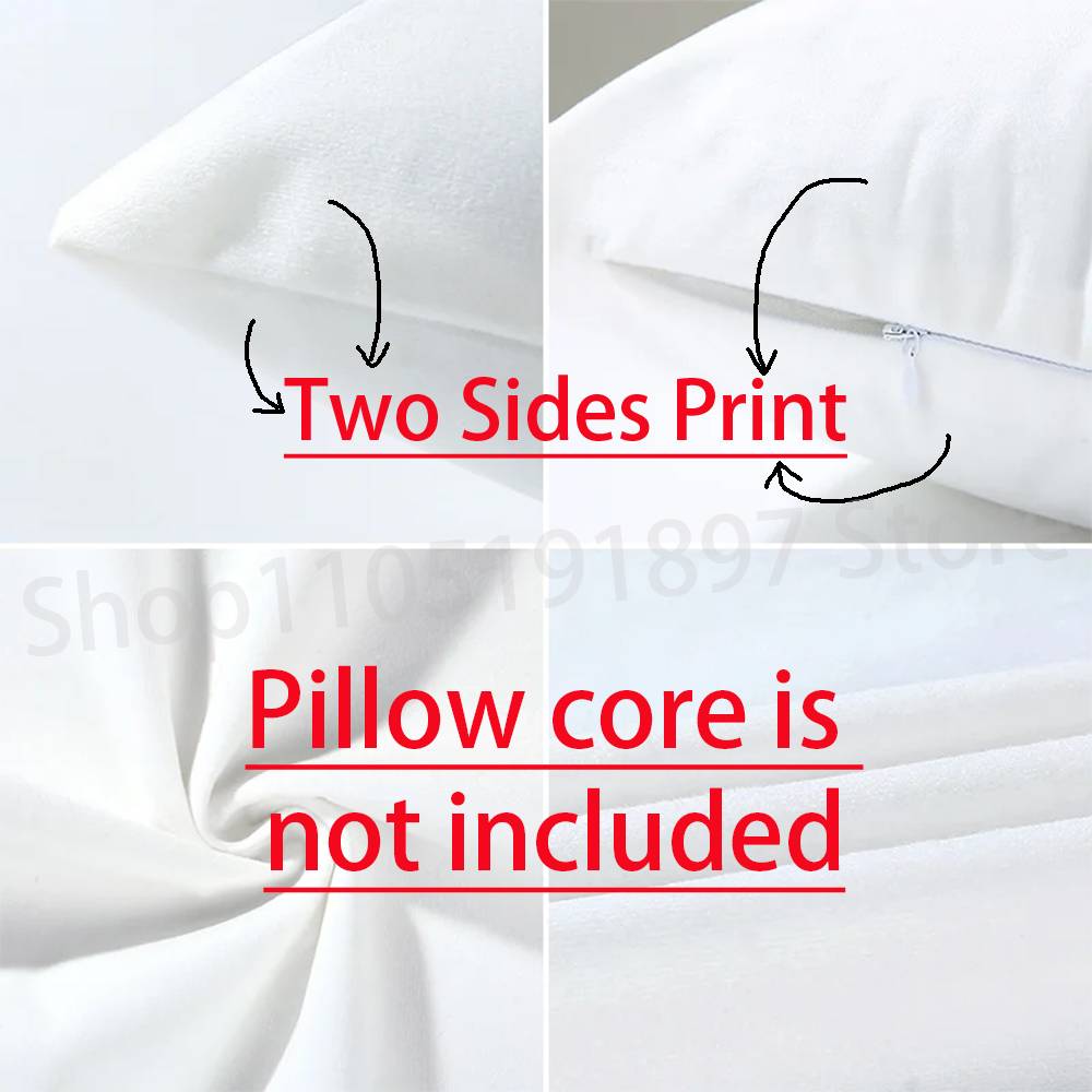 S-Sombr Back to Friends I Barely Know Her Throw Pillow Case For 30cm 40cm 45cm 50cm 55cm Square Sofa Pillowcase Shell